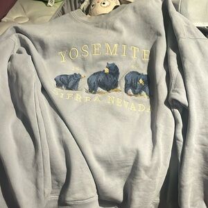 Pacsun Yosemite blue sweatshirt